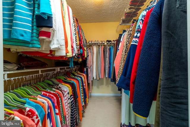 walk in closet featuring carpet flooring