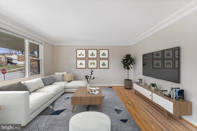 living area featuring crown molding, wood finished floors, and baseboards