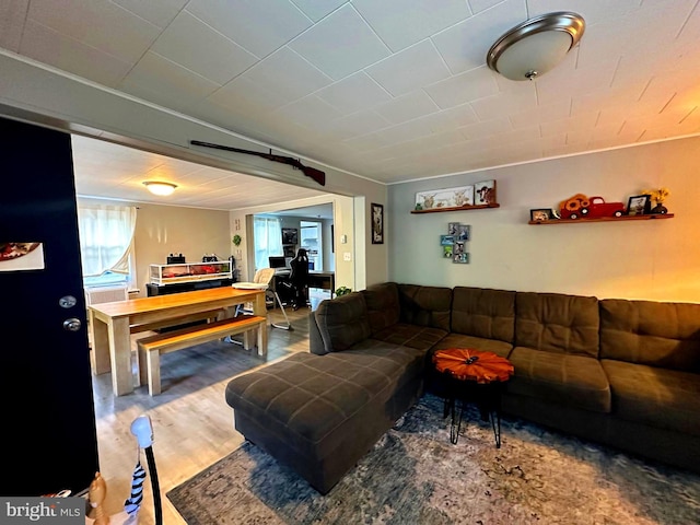 living room with a wealth of natural light and wood finished floors