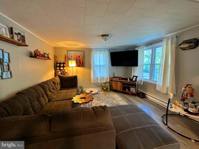 living area with wood finished floors