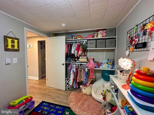 playroom with wood finished floors