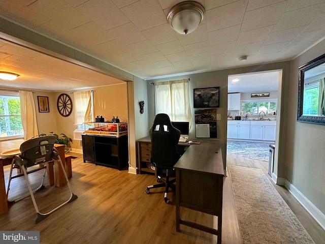 office area featuring a sink, baseboards, and wood finished floors