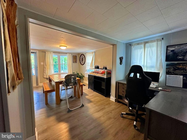 office area featuring wood finished floors and ornamental molding