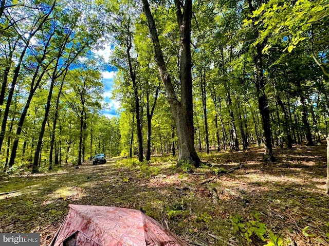 view of yard featuring a forest view