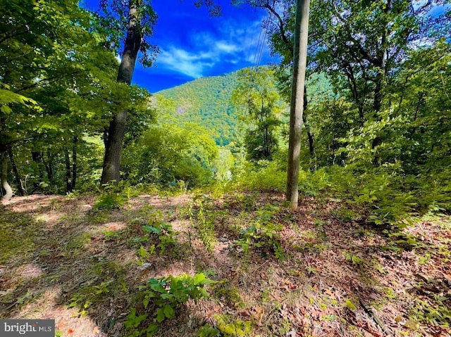 view of landscape featuring a wooded view