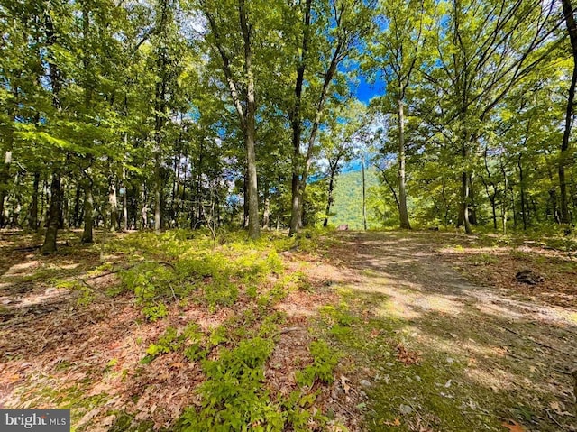 view of nature with a view of trees