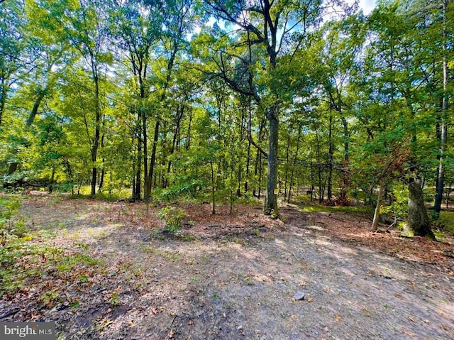 view of landscape with a wooded view