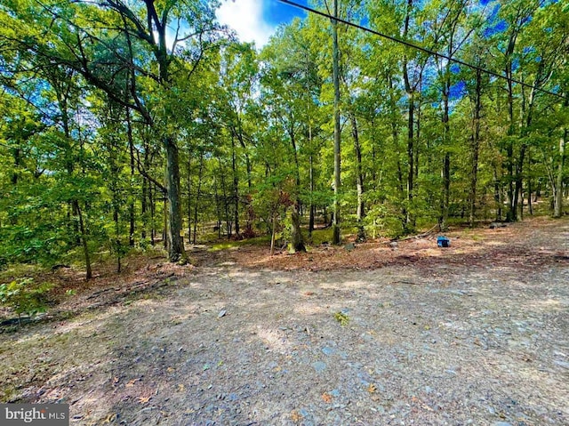 view of local wilderness with a forest view