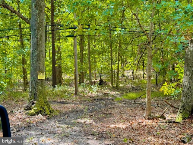 view of nature with a view of trees