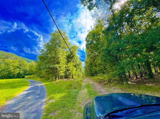 view of road featuring a view of trees