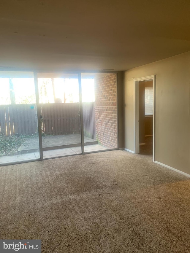 spare room featuring baseboards, carpet floors, and a healthy amount of sunlight