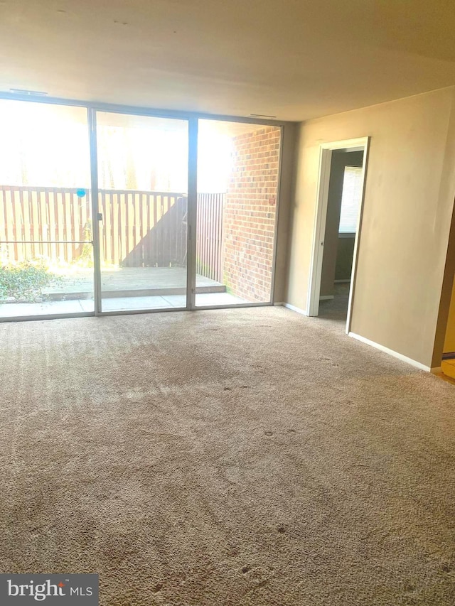 interior space with a healthy amount of sunlight, baseboards, and carpet