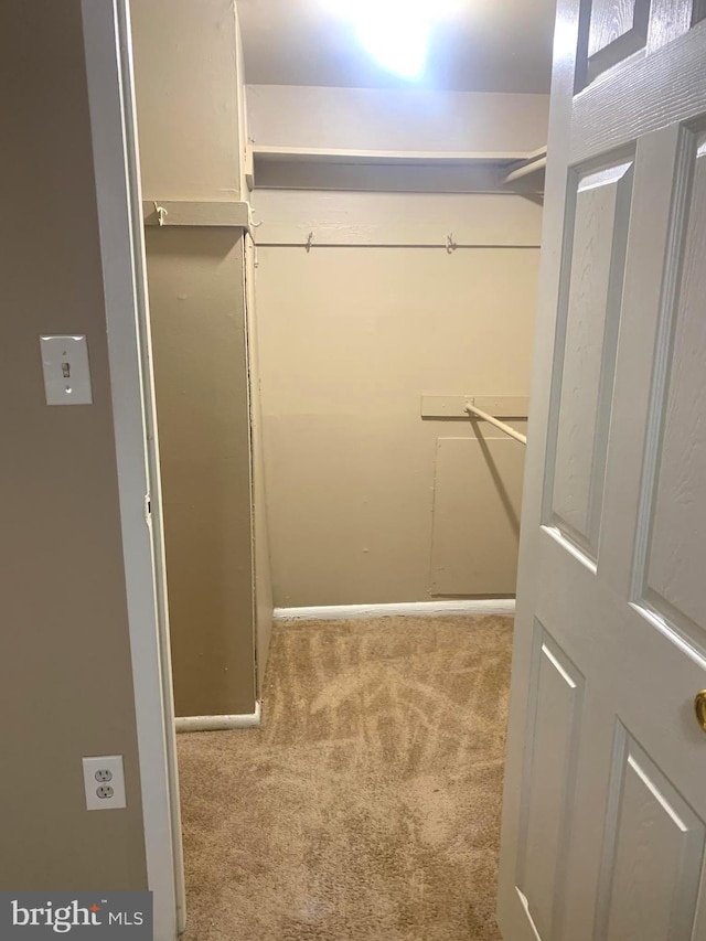 spacious closet featuring carpet floors