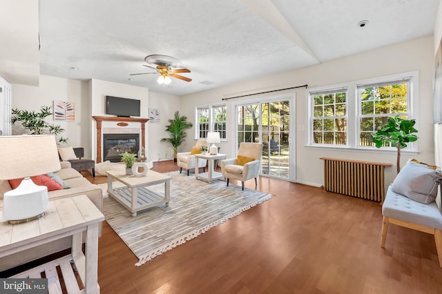 living area featuring a glass covered fireplace, radiator, wood finished floors, and a ceiling fan