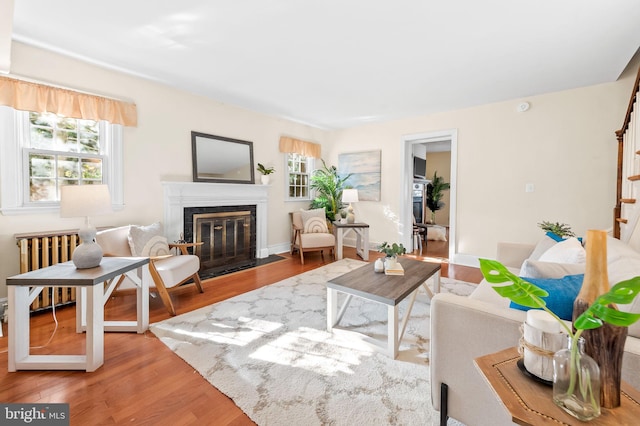 living room featuring a fireplace with flush hearth, radiator, wood finished floors, and a wealth of natural light