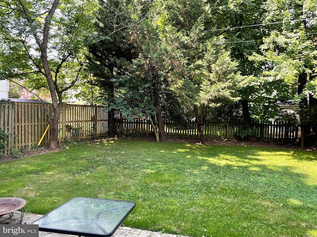 view of yard featuring a fenced backyard