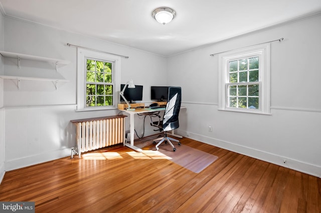 home office featuring radiator, baseboards, and wood-type flooring