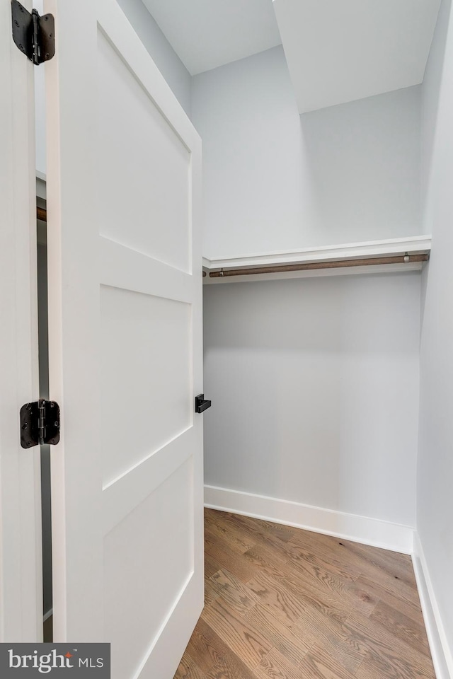 spacious closet featuring wood finished floors