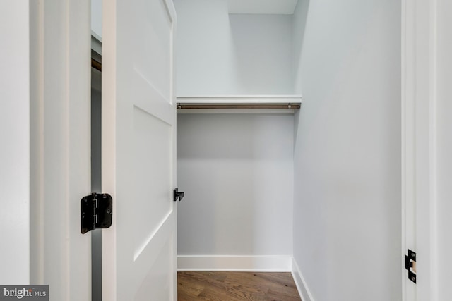 walk in closet featuring dark wood-style floors