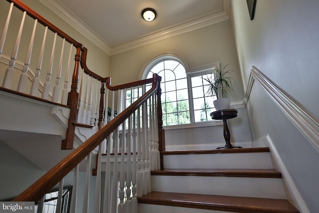 stairs featuring crown molding