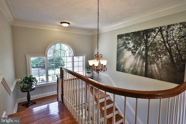 staircase featuring baseboards, a healthy amount of sunlight, hardwood / wood-style floors, and crown molding