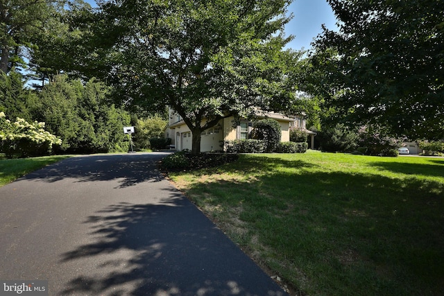 view of front facade with a garage, a front lawn, and driveway