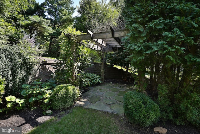 view of yard featuring a patio area and a pergola