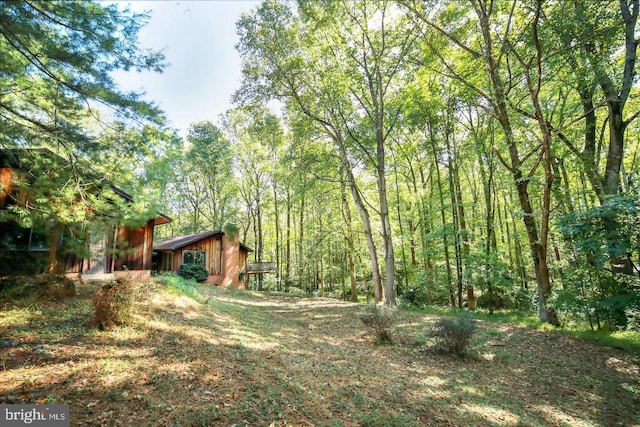 view of yard featuring a forest view