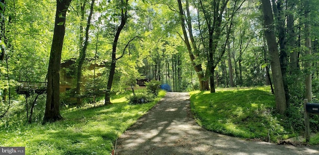 view of road with a forest view and driveway