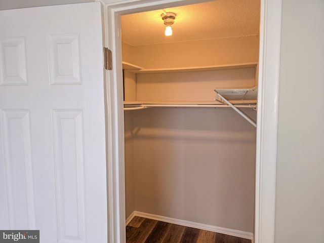 walk in closet featuring dark wood-style floors