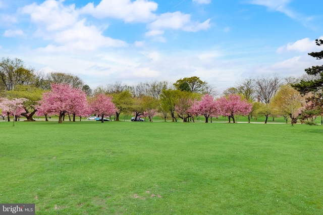 view of property's community with a yard