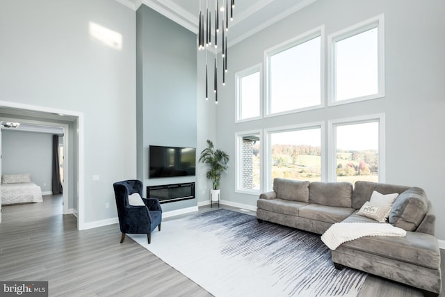 living area featuring baseboards, ornamental molding, a towering ceiling, wood finished floors, and a glass covered fireplace