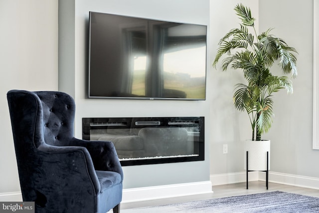 living area featuring baseboards and wood finished floors