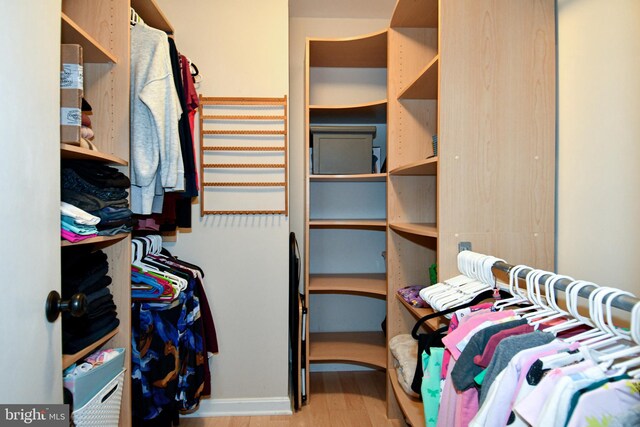 spacious closet with wood finished floors