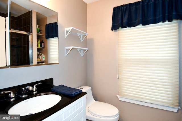 bathroom with toilet and vanity