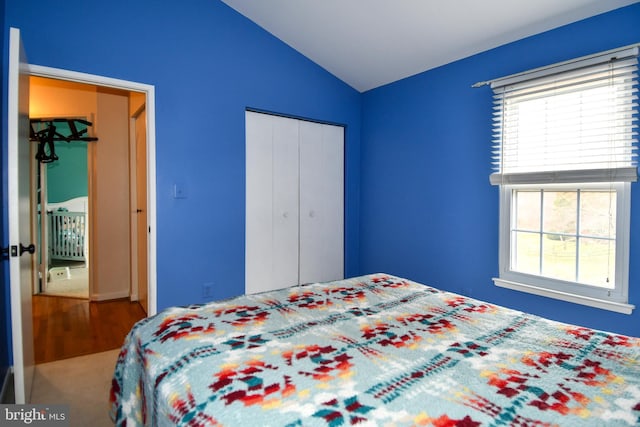 bedroom with lofted ceiling and a closet