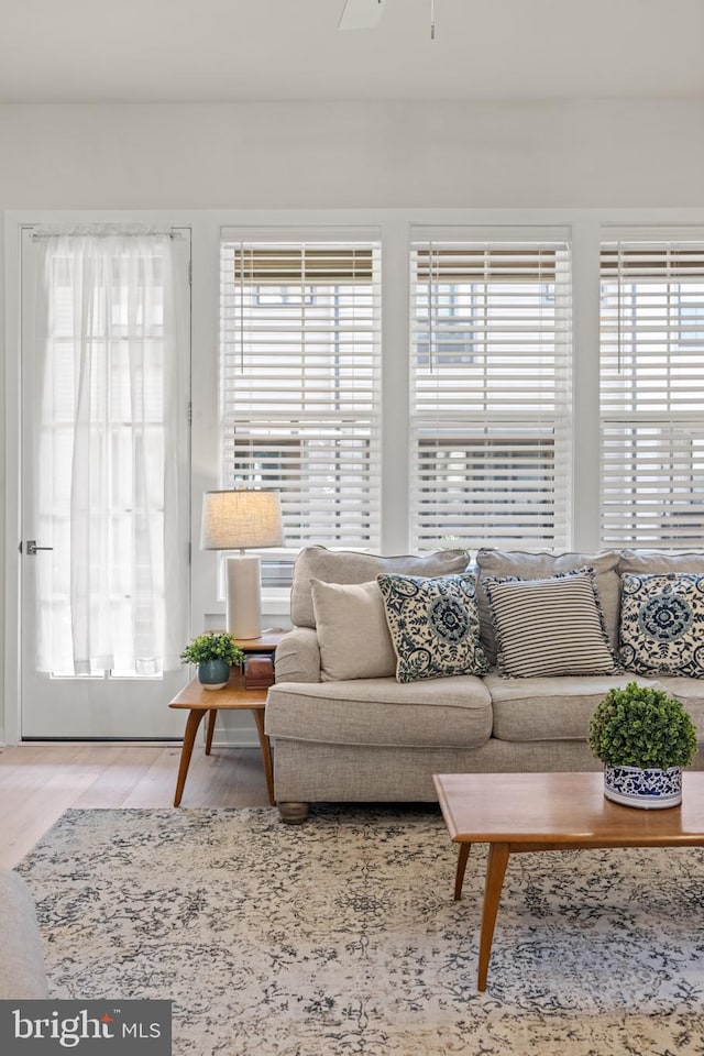 living room with a ceiling fan