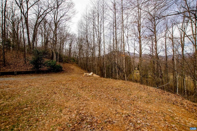 view of local wilderness