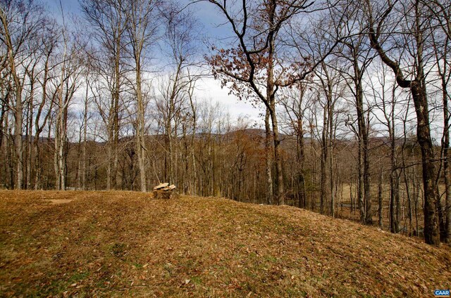 view of landscape featuring a wooded view