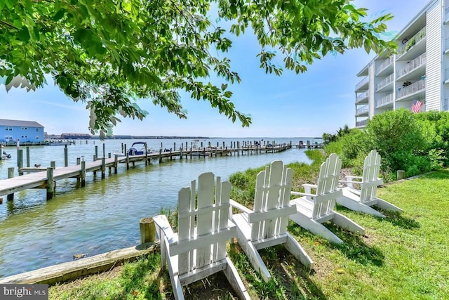 dock area with a water view