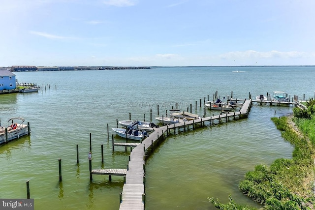 dock area featuring a water view