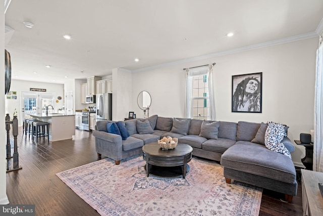 living area with crown molding and dark wood-style flooring