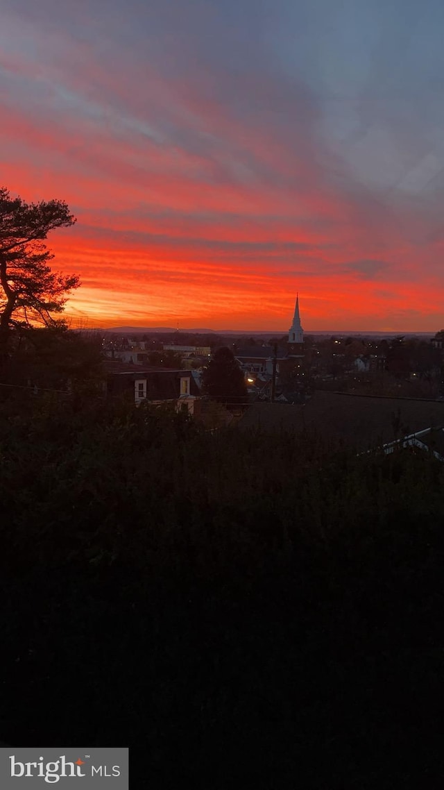 view of nature at dusk