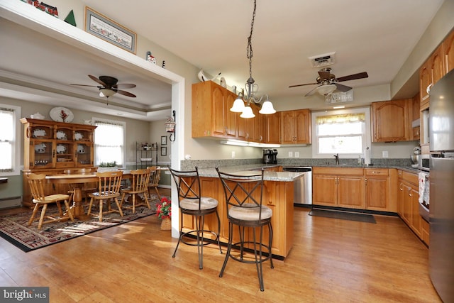 kitchen with a tray ceiling, stainless steel dishwasher, a healthy amount of sunlight, and light wood-style flooring