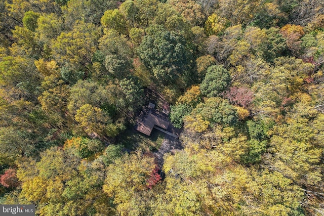 bird's eye view with a forest view