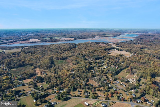 birds eye view of property with a forest view and a water view