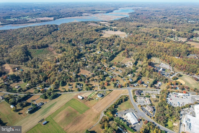 bird's eye view featuring a forest view and a water view