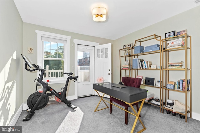 office with baseboards and carpet flooring