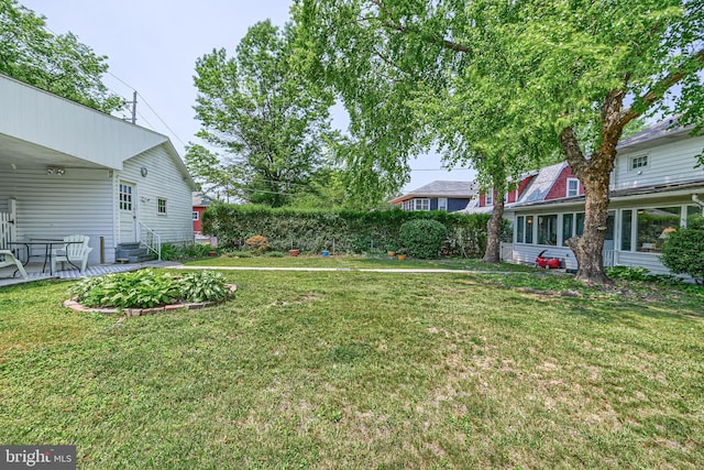 view of yard featuring entry steps