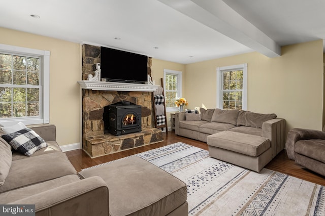 living area featuring a wood stove, plenty of natural light, wood finished floors, and baseboards